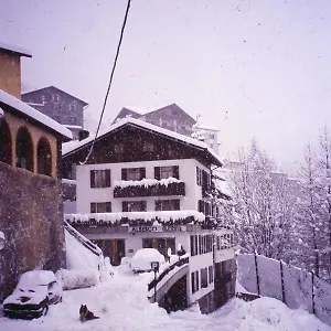 2* Hotel - Alpina